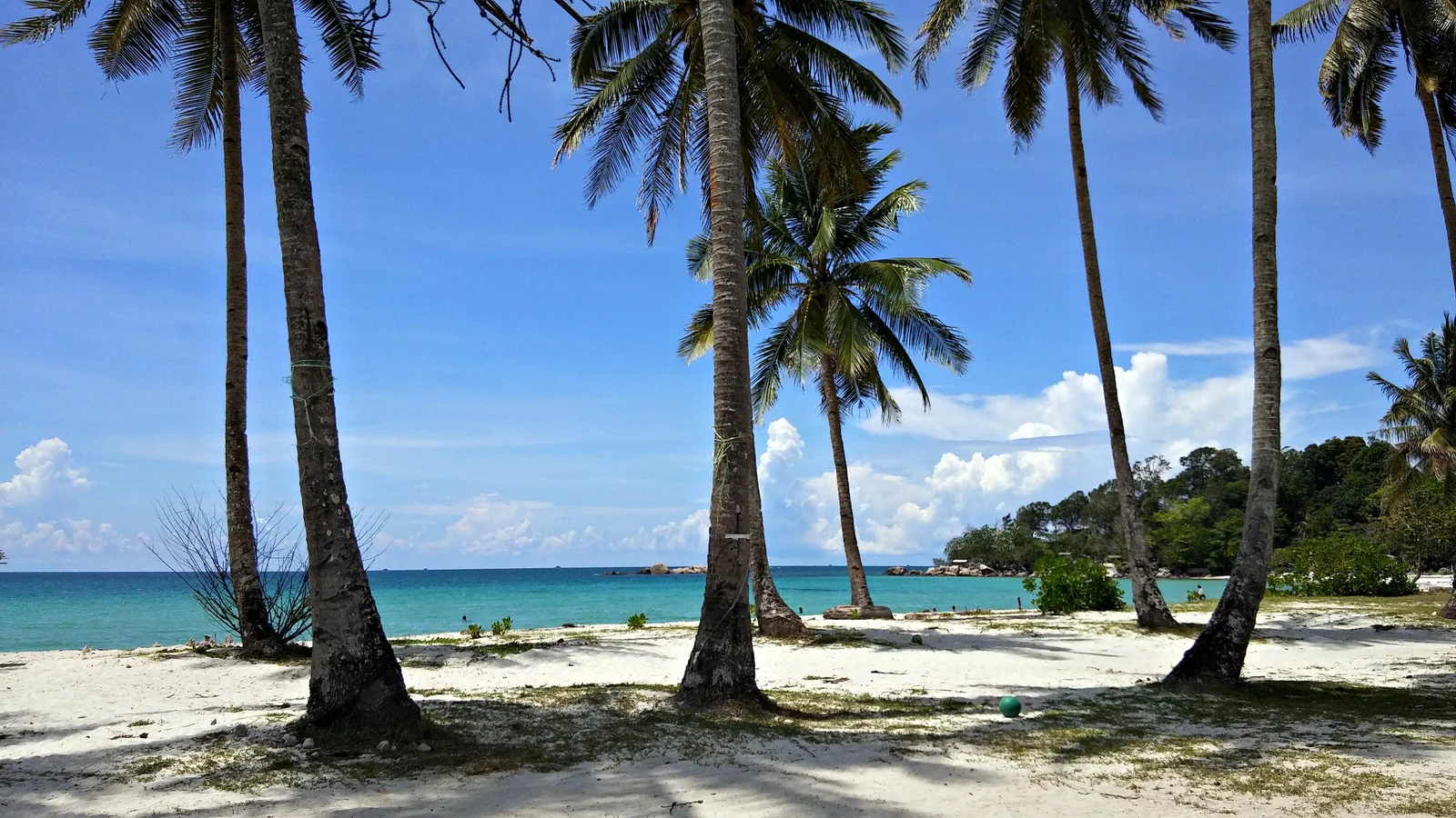 Pohon kelapa, pantai berpasir, dan perairan biru di Pantai Trikora, Kabupaten Bintan